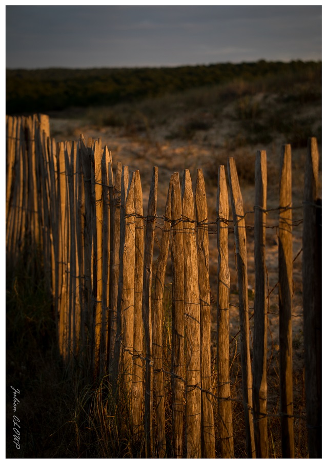 Plage de lespecier